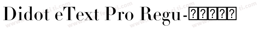 Didot eText Pro Regu字体转换